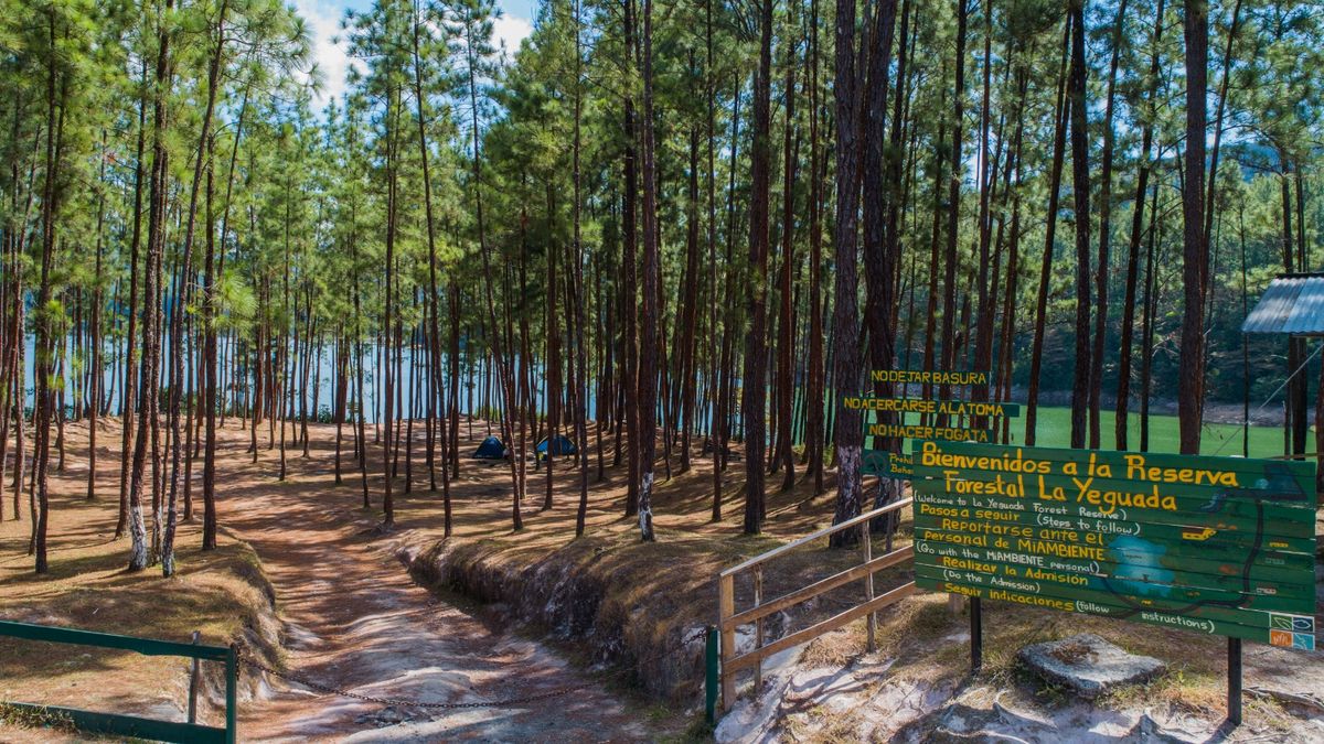 Panamá celebra el Día Internacional de los Parques Nacionales con 18 áreas protegidas