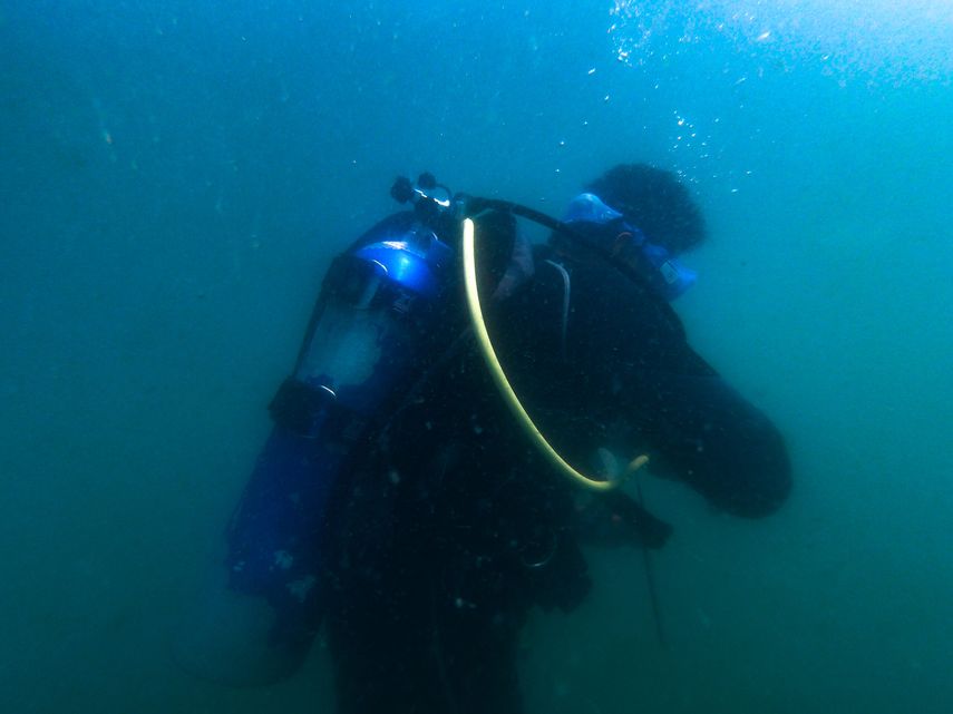 Se logrará la obtención de data valiosa como la distribución y la cobertura de los ecosistemas de pastos marinos en Panamá a través de técnicas de georreferenciación.