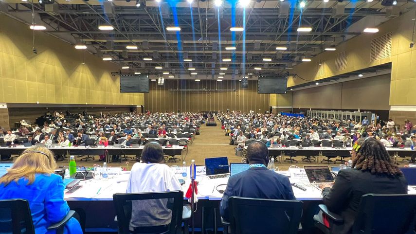 La COP16 finaliza sin acuerdo sobre la financiación para salvar la naturaleza. La COP16 finaliza sin acuerdo sobre la financiación para salvar la naturaleza.