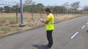 Redoblan controles de fauna ante reducción de actividad aeroportuaria en Tocumen