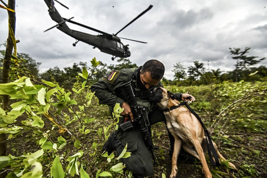 Colombia: desplazados por enfrentamientos entre ELN y narcos