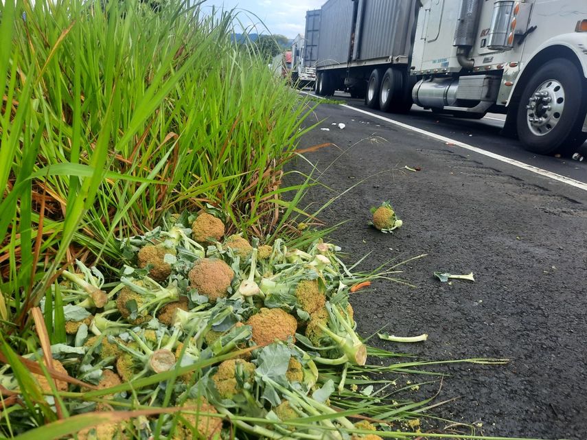 Productores de diversos rubros de Chiriquí piden al gobierno terminar con los cierres en la carretera interamericana