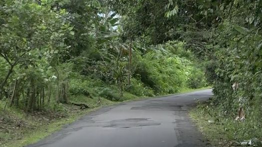 Construirán carretera entre Paso Canoas y Río Sereno