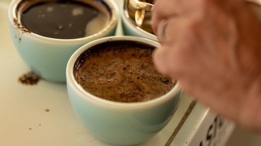 Arranca subasta electrónica de cafés especiales Best of Panamá 2021