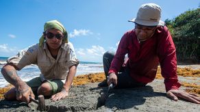 Paleontólogo panameño participa en investigación internacional sobre cetáceos fósiles del Caribe