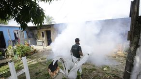 Especialistas advierten que el dengue puede evolucionar a cuadros graves.