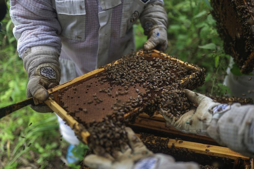Las vecinas del pequeño pueblo de Paris