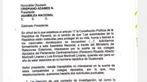 Diputada Mayín Correa pide a la Asamblea interesarse en hermanos Martinelli