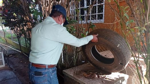 El Minsa indicó que la eliminación de reservorios de agua es eficaz contra los criaderos de mosquito causante de dengue.