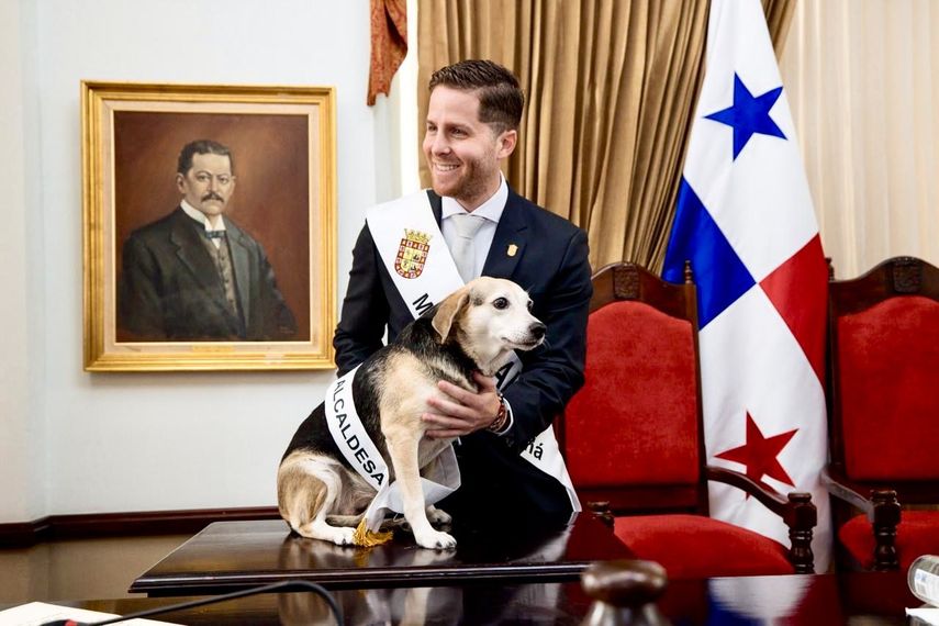 Artista GReeen acepta propuesta del alcalde de Panamá Mayer Mizrachi