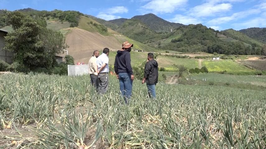 Los productores del agro en Tierras Altas, est&aacute;n en alerta y han exigido la derogaci&oacute;n de resoluciones que extendieron el plazo de caducidad.
