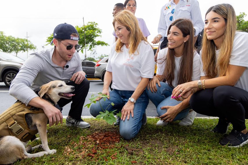 Operativo de siembra de árboles de la Alcaldía de Panamá embellece la Avenida Balboa. Operativo de siembra de árboles de la Alcaldía de Panamá embellece la Avenida Balboa.