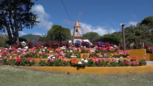 Feria de Las Flores y el Café en Boquete abrirá sus puertas en pandemia
