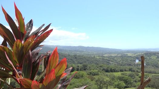 Remedios busca incentivar el turismo con construcción de mirador