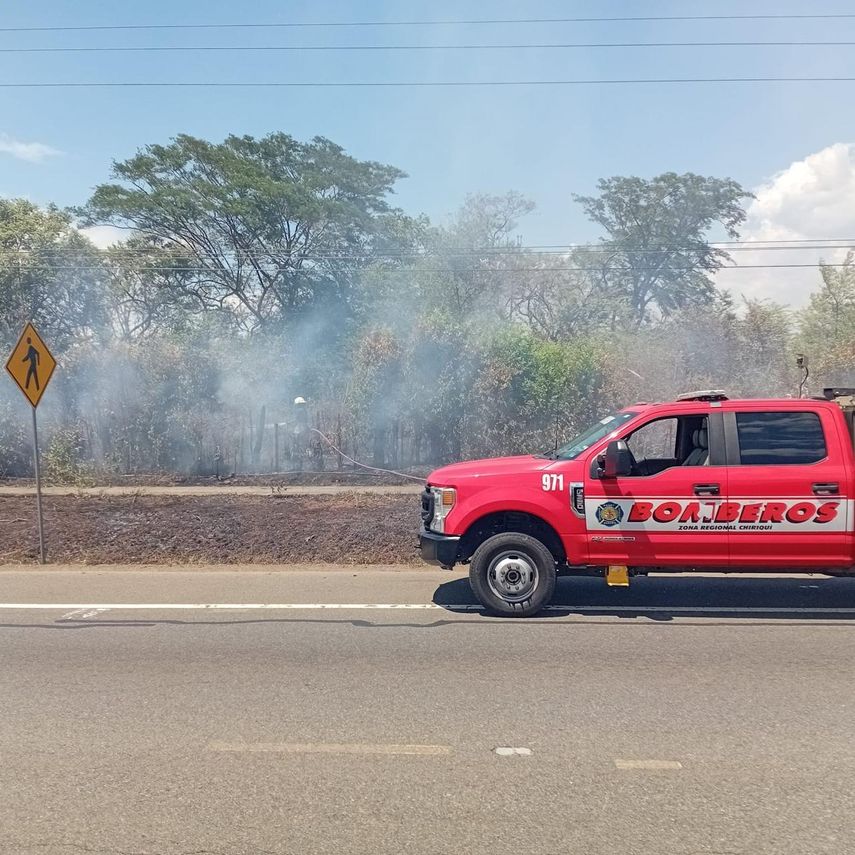 Más de 2,900 incendios de masa vegetal en 2026, bomberos advierten rápida propagación