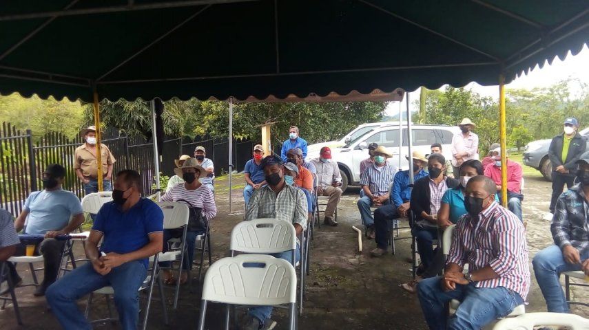 El día de campo se realizó en Renacimiento, Chiriquí, organizado por el IDIAP.