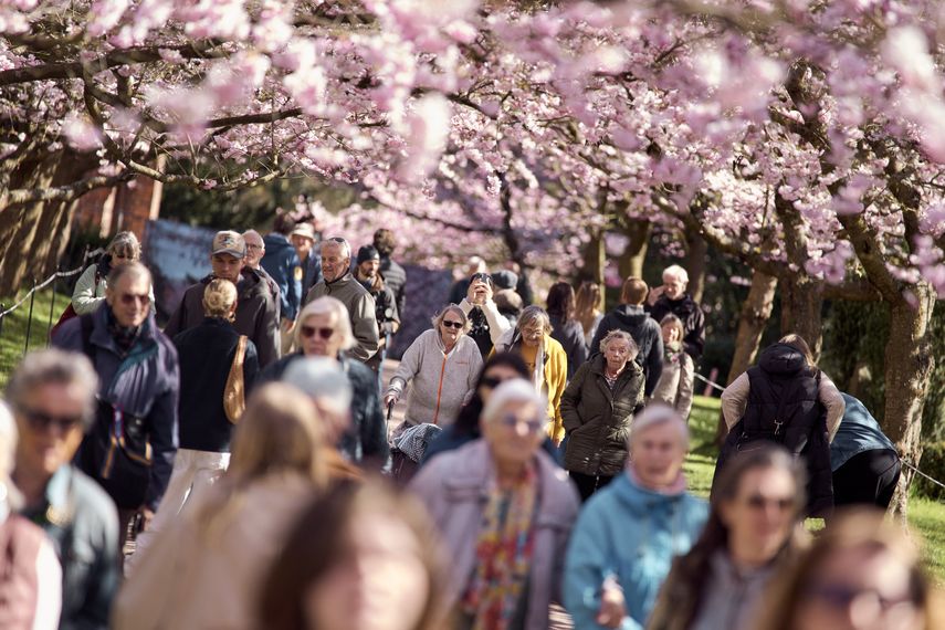Dinamarca elevará a 70 años la edad de jubilación a partir de 2040