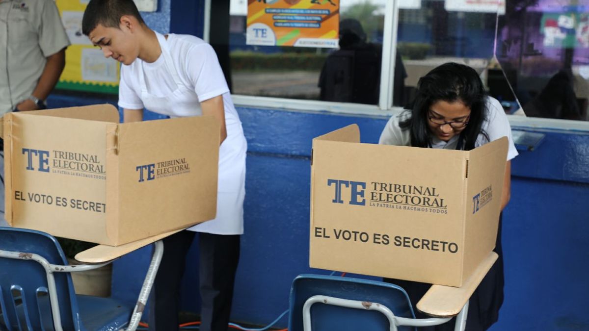 Tribunal Electoral Menores podrán votar en elecciones 2024