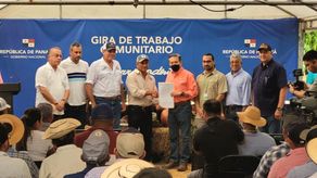 Panamá importará material genético desde Italiana para apoyar el sector bufalino