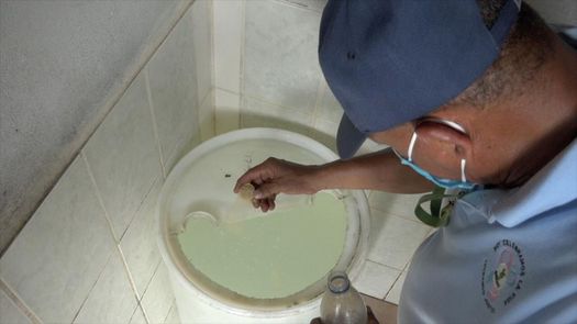 Una defunción y 21 casos confirmados por dengue