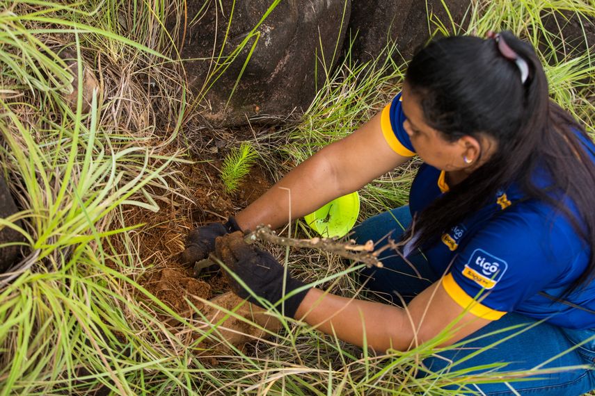 Tigo celebra todo junio por el Día de Medio Ambiente