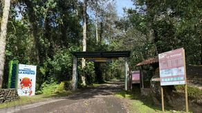 MiAmbiente aplica restricción temporal de acceso vehicular al Parque Internacional La Amistad