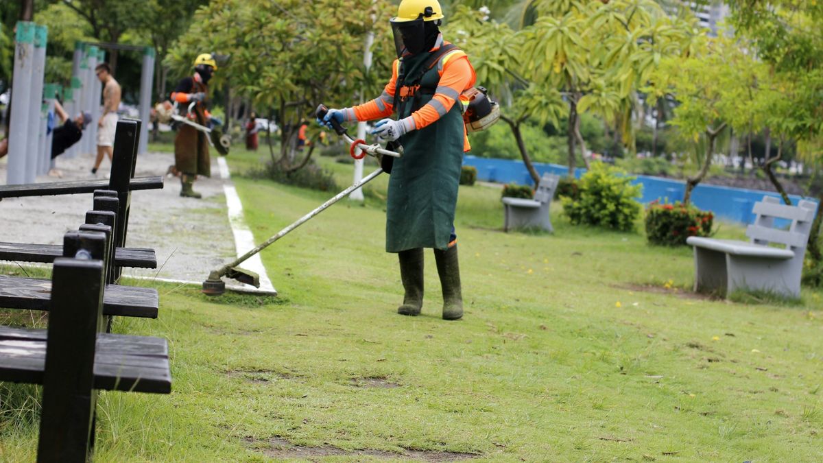 Uno de los espacios públicos más concurridos de la capital panameña recibió este martes una jornada de mantenimiento por parte del Ministerio de Obras Públicas (MOP), con labores de limpieza de áreas verdes, remoción de escombros y recuperación de estructuras en la Cinta Costera. Uno de los espacios públicos más concurridos de la capital panameña recibió este martes una jornada de mantenimiento por parte del Ministerio de Obras Públicas (MOP), con labores de limpieza de áreas verdes, remoción de escombros y recuperación de estructuras en la Cinta Costera.