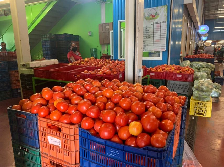 A altas horas de la noche de este jueves la caravana de vehículos con mercancía agrícola, proveniente de Tierras Altas, llegó a Merca Panamá, liego de permanecer varados en el Oriente Chiricano más de 24 horas desde su salida de la provincia de Chiriquí.