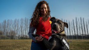 Mascotas ayudan a los alemanes a sobrellevar la pandemia
