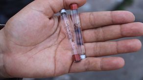 El Ministerio de Salud (Minsa) informó que hasta la semana epidemiológica No. 11, correspondiente del 15 al 21 de marzo de 2026, se han registrado 1,670 casos acumulados de dengue en Panamá, por lo que reiteró el llamado a la población a reforzar las medidas de prevención y eliminar los criaderos del mosquito transmisor.