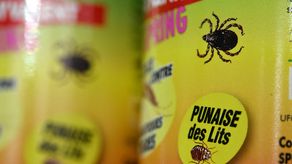 La psicosis de los chinches invade París a menos de un año de los JJ. OO.