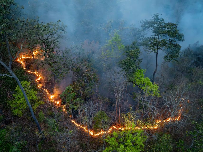 Panamá refuerza estrategia nacional contra incendios forestales para 2026