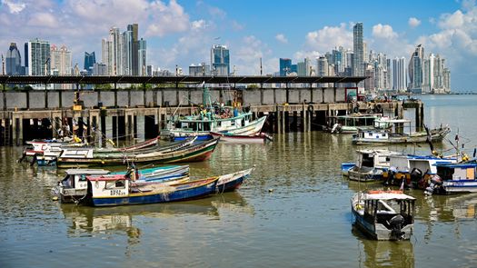 Economía azul: el nuevo eje estratégico del sector pesquero panameño