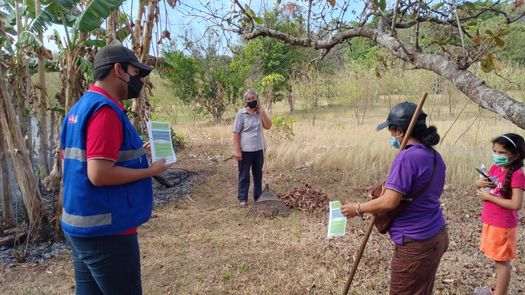 Confirman primera defunción por hantavirus en Herrera