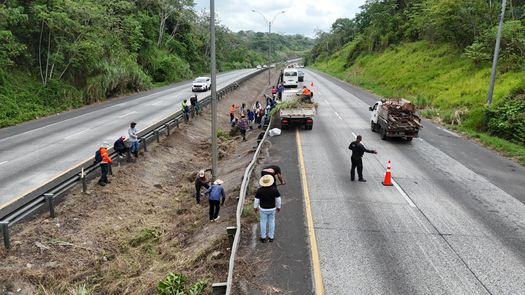 Una jornada de limpieza en la isleta del Puente Centenario arrancó este domingo como parte de un plan progresivo para recuperar espacios públicos y reducir riesgos en una de las principales vías de conexión del país, informó la Alcaldía de Arraiján. Una jornada de limpieza en la isleta del Puente Centenario arrancó este domingo como parte de un plan progresivo para recuperar espacios públicos y reducir riesgos en una de las principales vías de conexión del país, informó la Alcaldía de Arraiján.