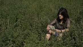 Película denuncia impunidad de responsables de desapariciones en Guatemala