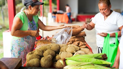 IMA ofrecerá productos a bajos costos entre ellos el tan buscado arroz.