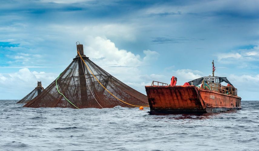 Panamá acogerá el evento Latinoamericano de Acuicultura