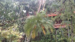 Miviot levanta censo de familias afectadas por voladuras de techo