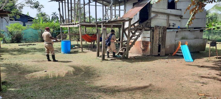 Minsa: Guna Yala presenta 14 nuevos casos de dengue