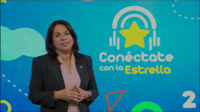 En 15 días MEDUCA presentará protocolo para inicio de clases a distancia