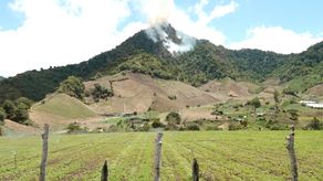 MiAmbiente dio a conocer que se hizo un levantamiento para registrar las especies que murieron producto del fuego en Cerro Punta.
