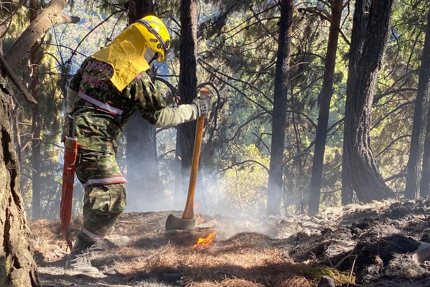 Suben a 21 los incendios forestales en regiones de Colombia