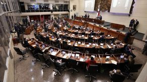 Walkiria Chandler: Diputados que piden reelección de Adames podrían estar gozando de mieles
