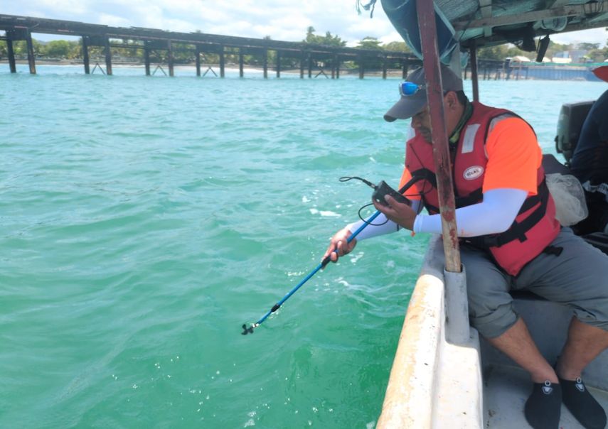 Nuevo muelle de Puerto Armuelles podría funcionar como hábitat marino, según AMP