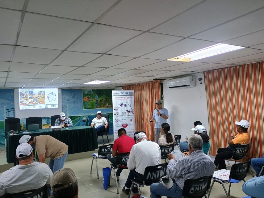 El MIDA destacó que este tipo de capacitaciones forman parte del plan de trabajo. El MIDA destacó que este tipo de capacitaciones forman parte del plan de trabajo.