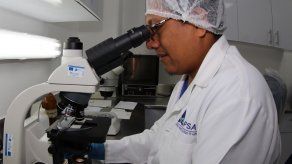 Contenedor con peras y manzanas con gusano es devuelto a China