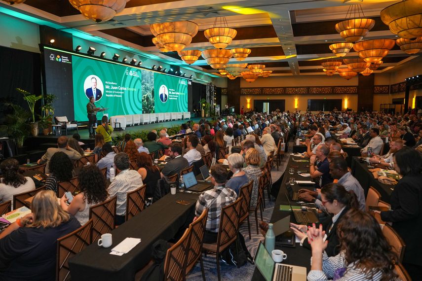 Esta semana, Panamá acoge a más de 1,200 delegados de más de 90 países durante la Asamblea General del Forest Stewardship Council (FSC), el principal encuentro global sobre manejo responsable de los bosques. Esta semana, Panamá acoge a más de 1,200 delegados de más de 90 países durante la Asamblea General del Forest Stewardship Council (FSC), el principal encuentro global sobre manejo responsable de los bosques.