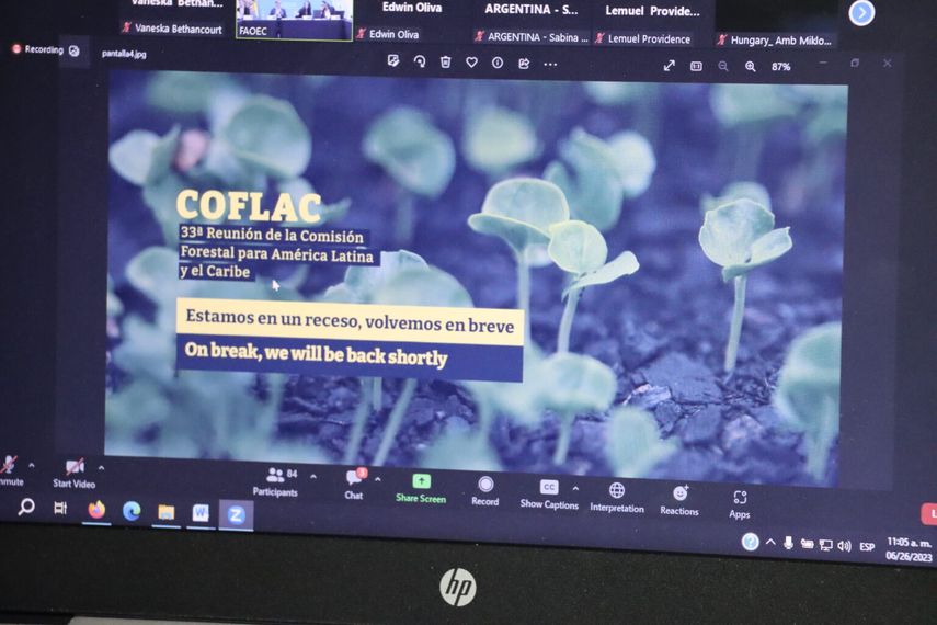 MiAmbiente se suma a programa forestal regional