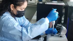 Científicos crean estructuras similares a embrión humano sin esperma ni óvulos